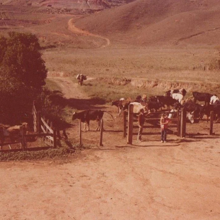 Terreno da propriedade em 1981