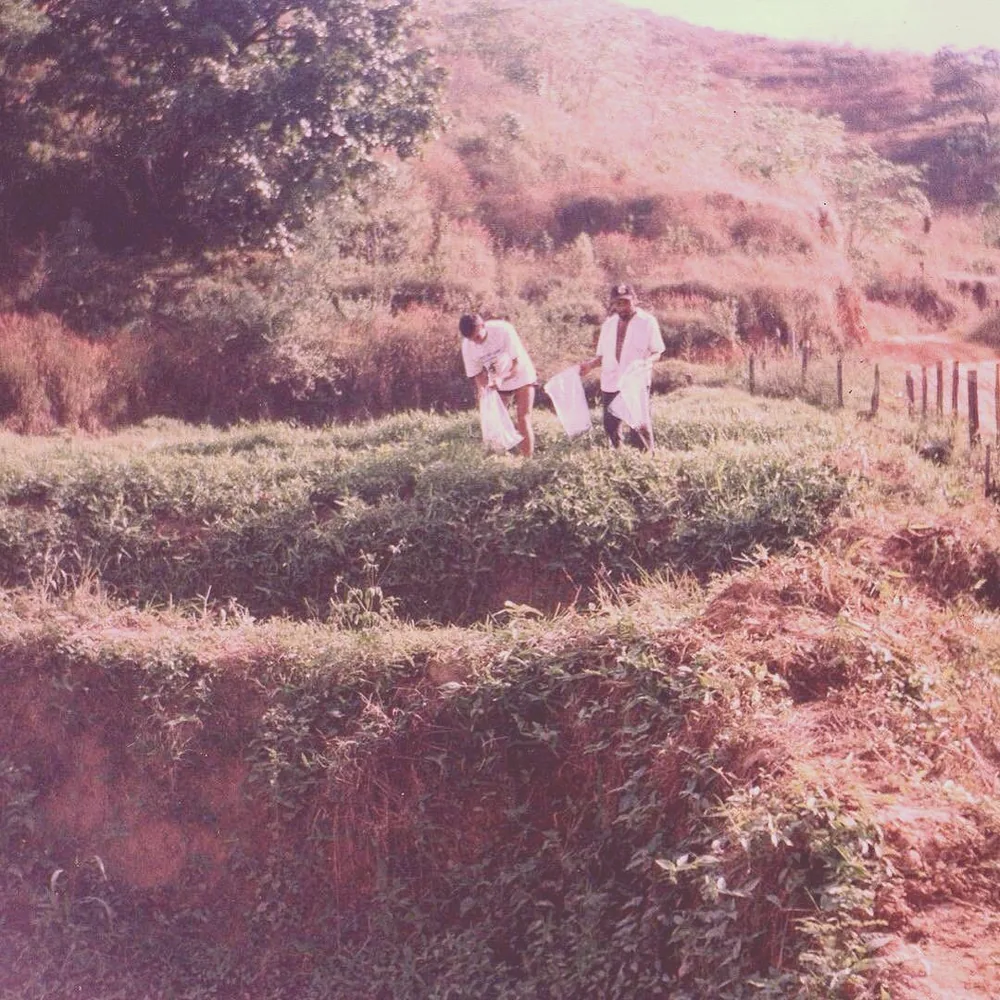 Escavação dos primeiros poços em 1989